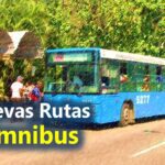 Listado de nuevas rutas y recorridos de ómnibus en La Habana