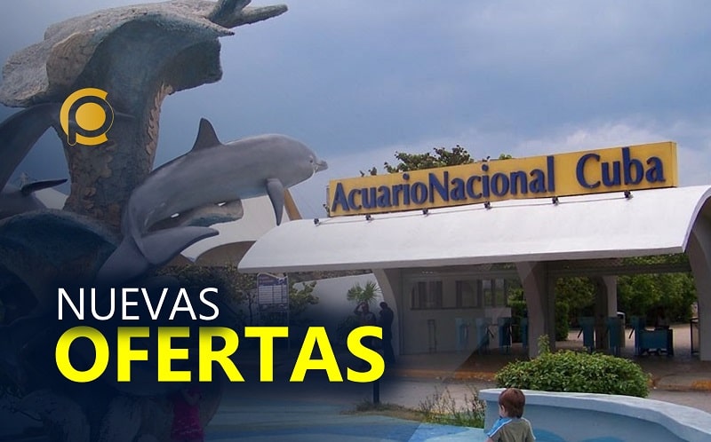 Acuario Nacional de Cuba dinamiza oferta de servicios