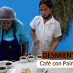 Desmienten noticia de Café con Palmiche en Cuba (Cafmiche)