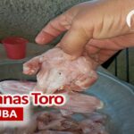 Estallan las redes tras la comercialización particular de Ranas Toro para consumo en Cuba CP
