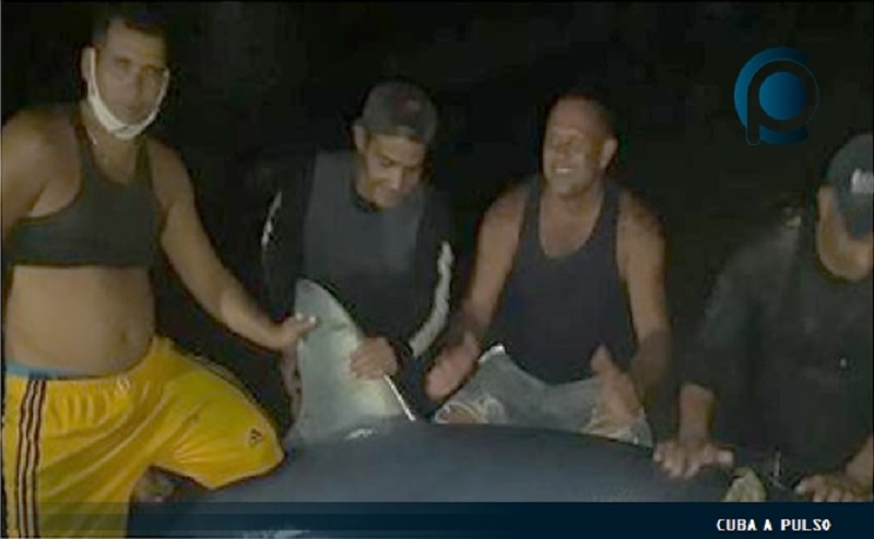Pescadores cubanos capturan un gran Tiburón Sierra en Baracoa