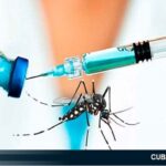 Cuba trabaja en una vacuna contra el dengue