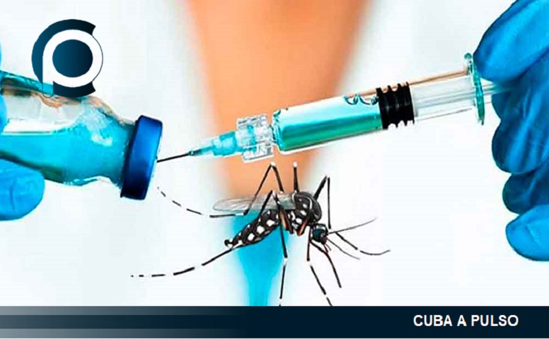 Cuba trabaja en una vacuna contra el dengue