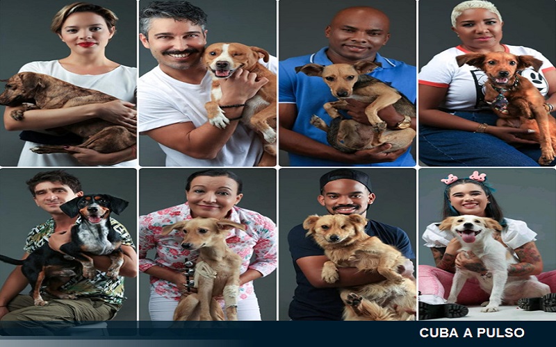 Día del perro este 21 de julio, cómo se celebra en Cuba