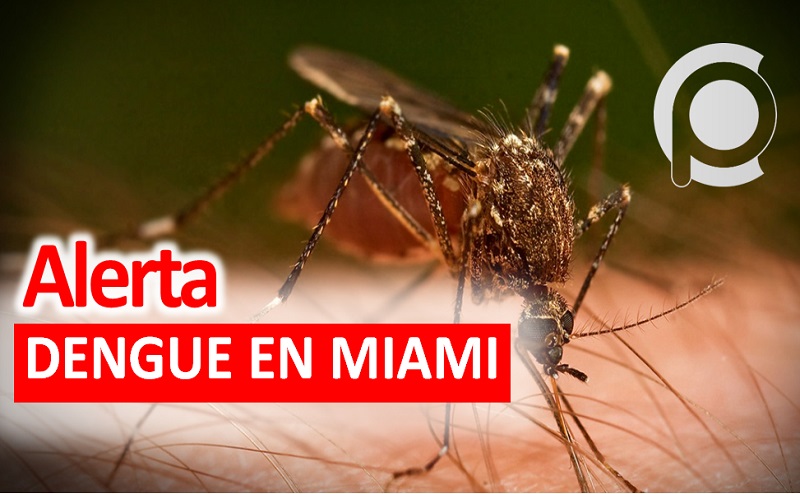 Miami-Dade en alerta de dengue