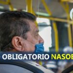 Regresa uso obligatorio del nasobuco, ante elevados casos de COVID-19 en Cuba