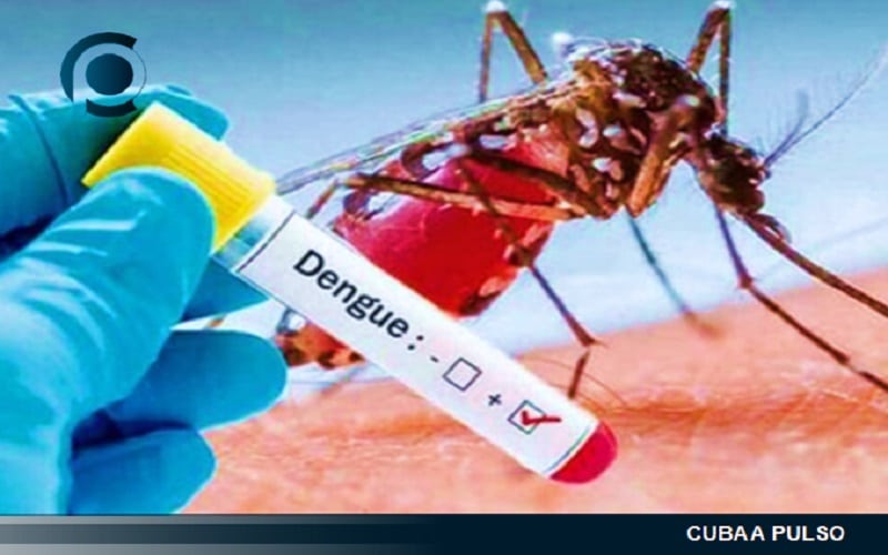 Cuba registró más de 2 900 casos de dengue en solo 7 días