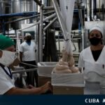 Producen nueva línea de yogurt en Cuba