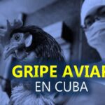 Cierran zoológico de 26 por llegada de gripe aviar a Cuba