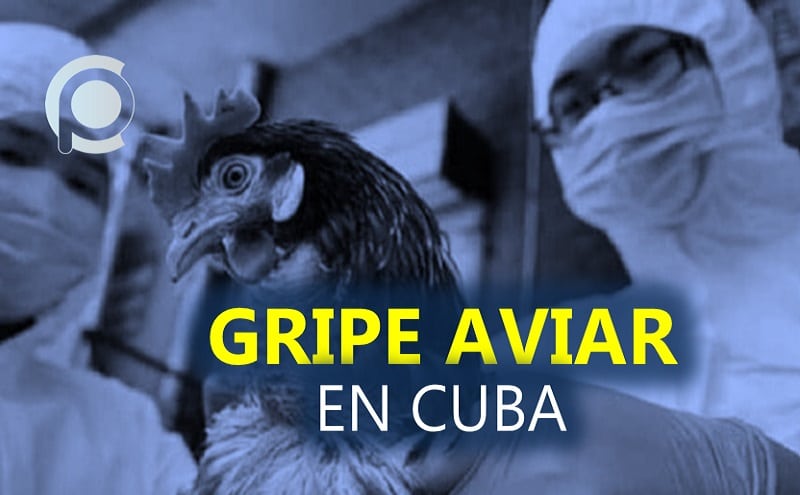 Cierran zoológico de 26 por llegada de gripe aviar a Cuba