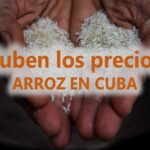 Suben los precios del arroz en Cuba. Qué está pasando
