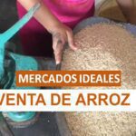 ARROZ MERCADOS IDEALES