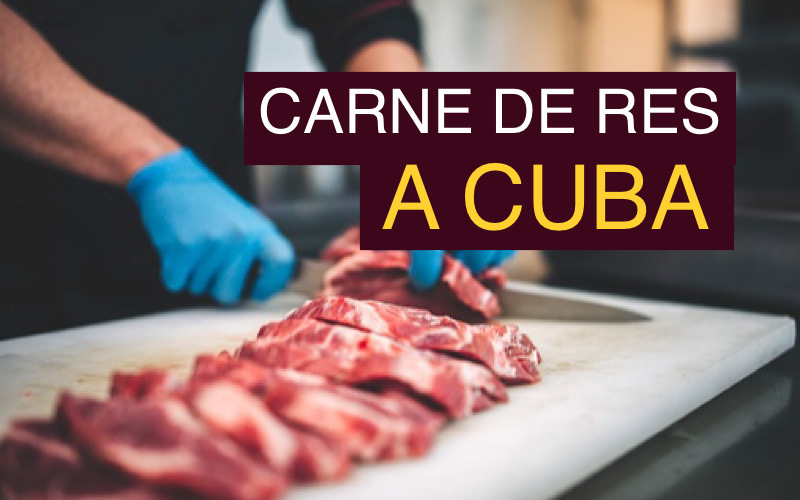 Costa Rica planea exportar carne de res y cerdo a Cuba