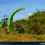 marabú proyecto donaciones cuba