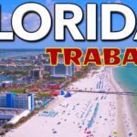 La tasa de empleo en Florida entre las mejores en Estados Unidos