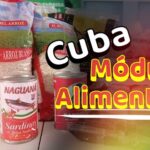 Entregan módulo gratuito de alimentos en provincia de Cuba