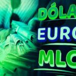 Así está el mercado informal de divisas en Cuba hoy 11 de agosto