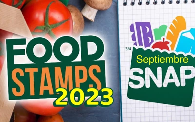 Calendario de pagos SNAP, así será la entrega de food stamps de septiembre en Estados Unidos