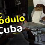 Entrega de módulos alimenticios en Cuba se extiende durante agosto