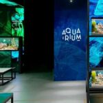 acuario