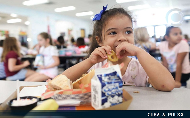 comida alimentos