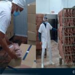 salchicha perros calientes