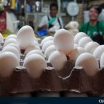 ¿Por qué hay escasez de huevos en Cuba?