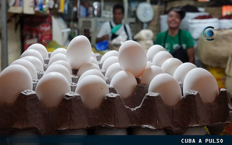 ¿Por qué hay escasez de huevos en Cuba?