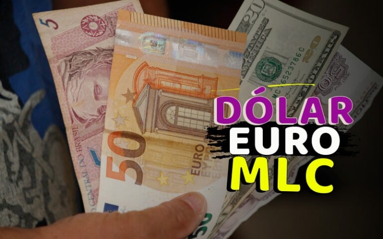 Euro Dólar Mlc Así Está El Mercado Informal De Divisas En Cuba Hoy 10 De Noviembre 0547