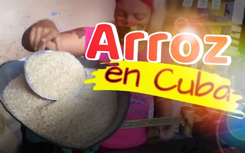 Así será la distribución del arroz en Cuba en noviembre de 2023