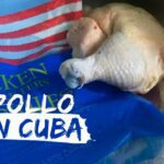 Pollo de la canasta familiar normada de enero en Cuba