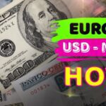 Así está el mercado informal de divisas en Cuba hoy 17 de febrero