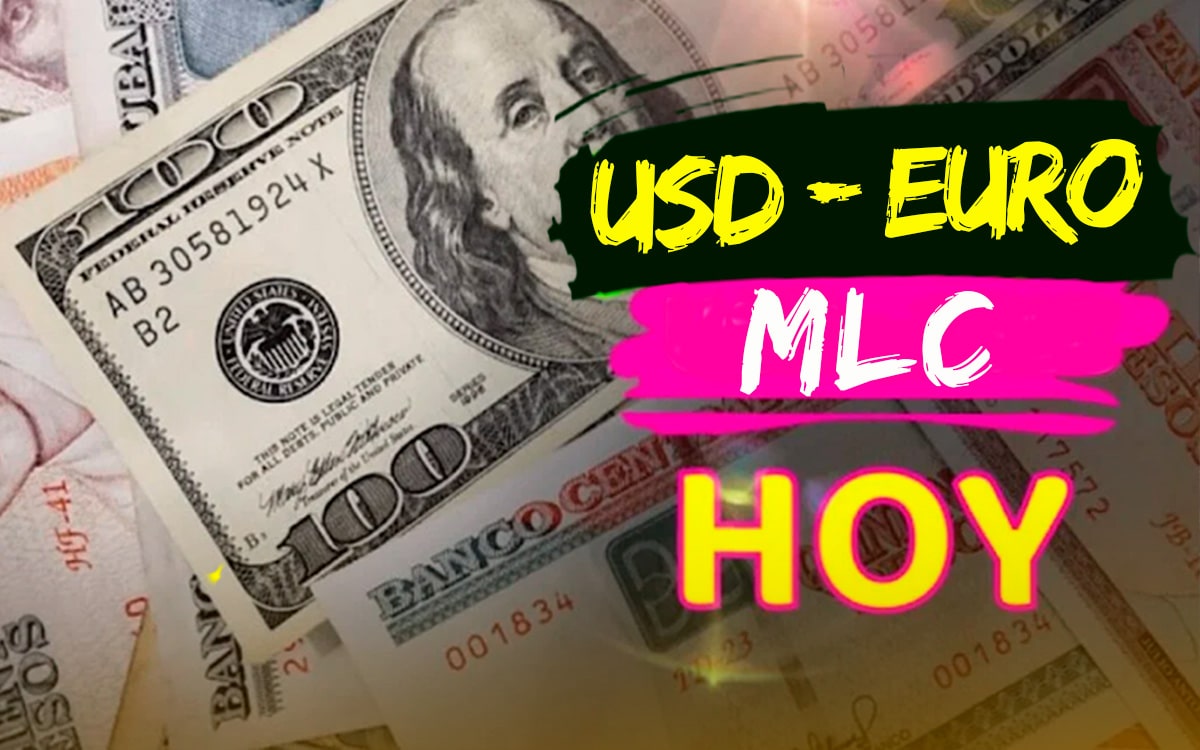 Euro Dólar Mlc Así Está El Mercado Informal De Divisas En Cuba Hoy 20 De Febrero 7436