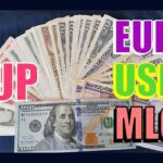 Dólar-Euro-MLC en Cuba hoy 17 de marzo de 2024 en el mercado informal de divisas