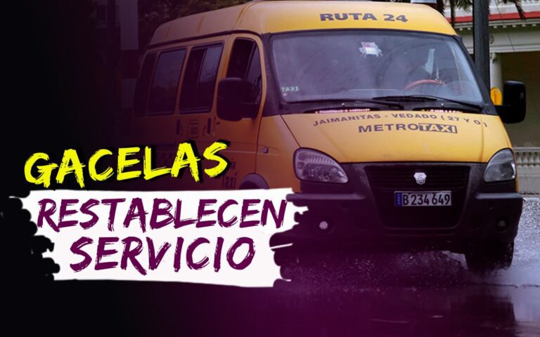 Restablecen servicio de Gacelas en La Habana: ¿Cuáles rutas? Cuba a