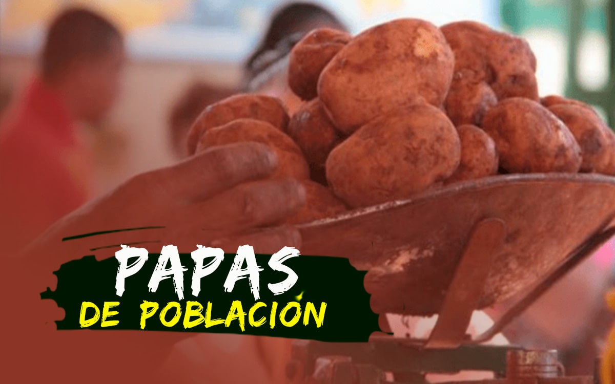 Robo de Papas en La Habana