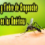 Dengue y Fiebre de Oropouche en las Américas