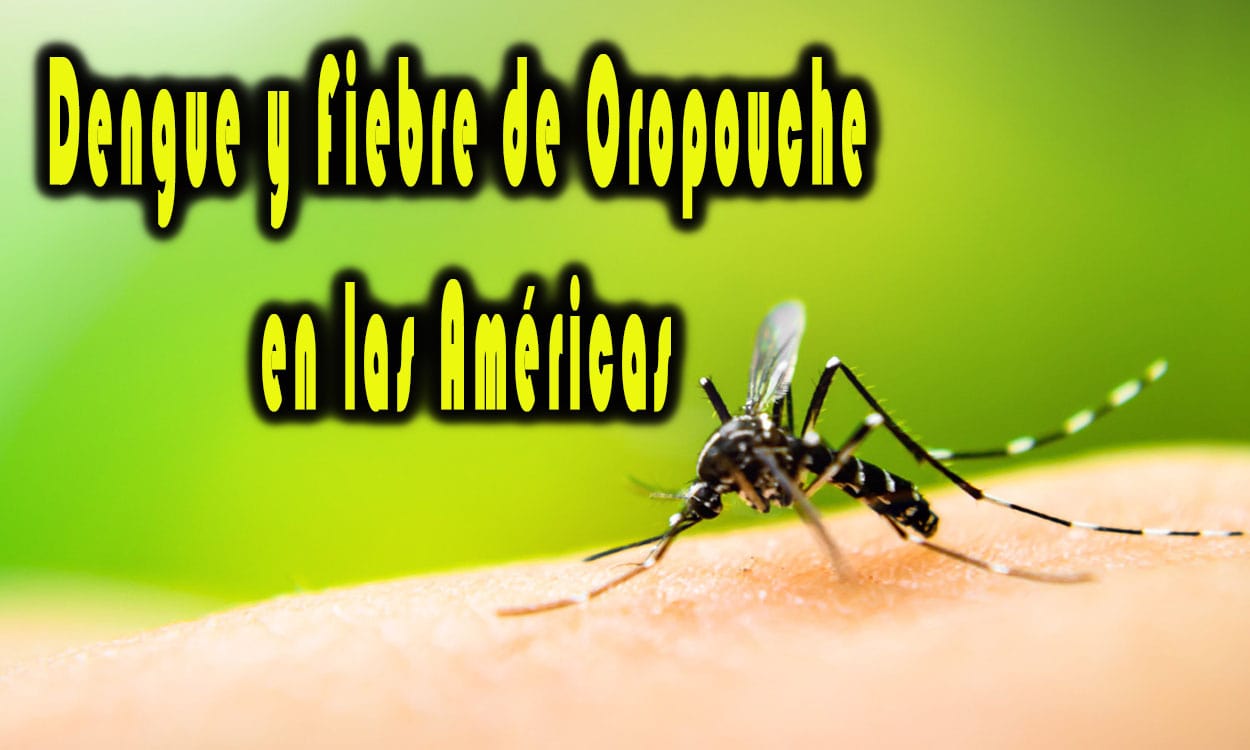 Dengue y Fiebre de Oropouche en las Américas