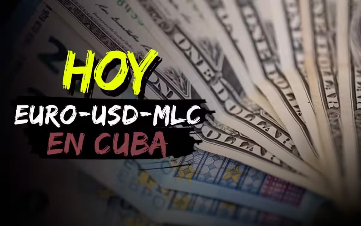 Dolar Sube Mercado Informal Cuba Noviembre 2024