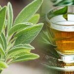 Infusión salvia beneficios