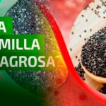 Semilla Chía reduce colesterol beneficios