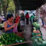 Ferias agropecuarias Habana 3 mayo