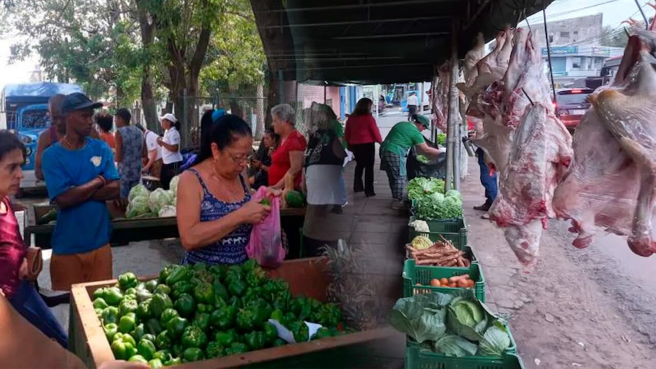 Ferias agropecuarias Habana 3 mayo