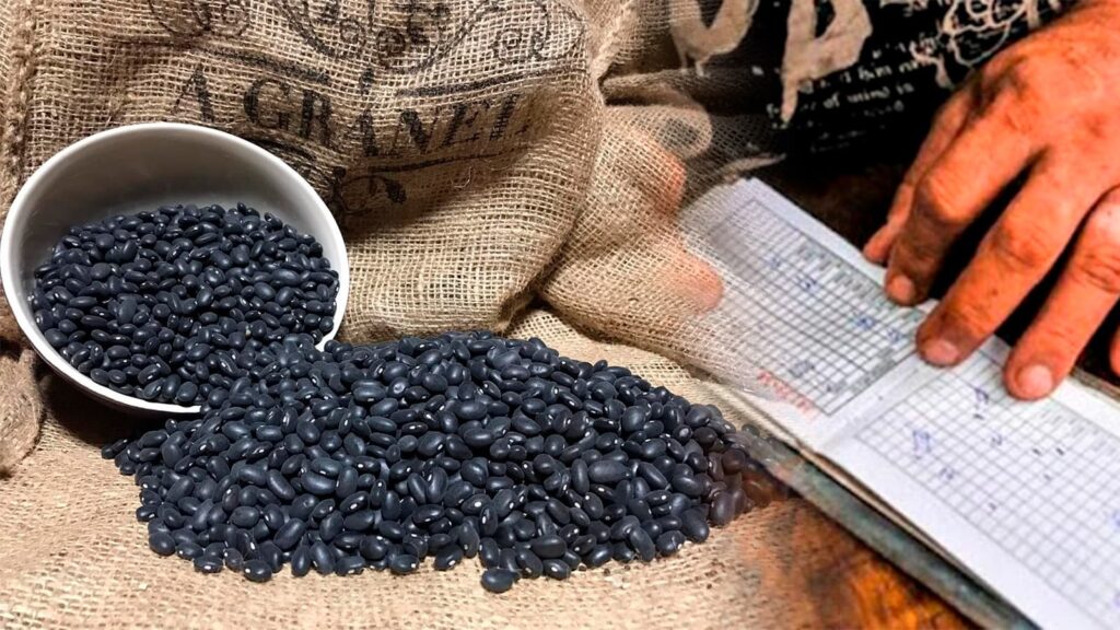 Frijoles bodega Cuba